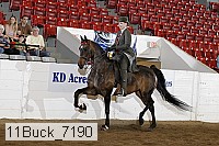 11buck_7190 proof
