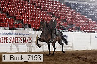 11buck_7193 proof