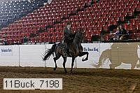11buck_7198 proof