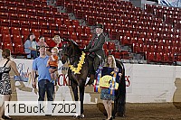 11buck_7202 proof