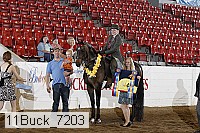11buck_7203 proof