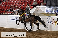 11buck_7209 proof