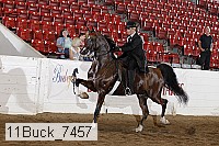 11buck_7457 proof