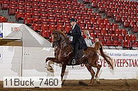 11buck_7460 proof