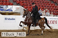 11buck_7463 proof