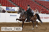 11buck_7465 proof
