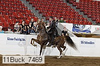 11buck_7469 proof