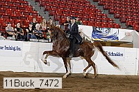 11buck_7472 proof