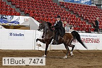 11buck_7474 proof