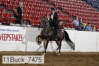 11buck_7475 proof