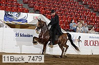 11buck_7479 proof