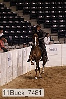 11buck_7481 proof
