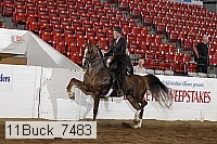 11buck_7483 proof