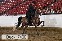 11buck_7486 proof