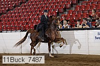 11buck_7487 proof
