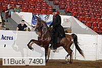 11buck_7490 proof