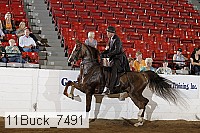 11buck_7491 proof