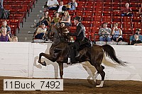 11buck_7492 proof