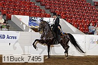 11buck_7495 proof