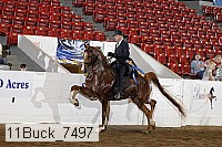 11buck_7497 proof
