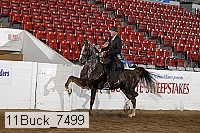 11buck_7499 proof