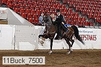 11buck_7500 proof