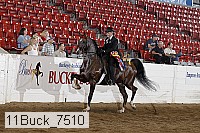 11buck_7510 proof