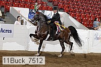 11buck_7512 proof