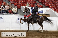 11buck_7516 proof