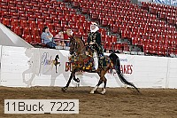 11buck_7222 proof