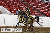 11buck_7225 proof