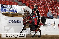 11buck_7228 proof
