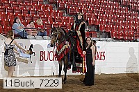 11buck_7229 proof