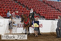 11buck_7231 proof