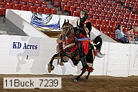 11buck_7239 proof