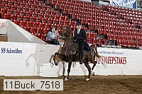 11buck_7518 proof