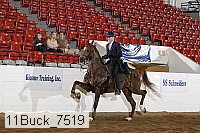 11buck_7519 proof