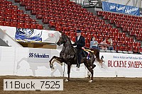 11buck_7525 proof