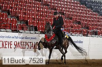 11buck_7528 proof