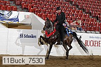 11buck_7530 proof