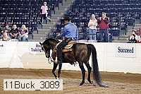 11buck_3089 proof