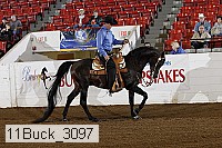 11buck_3097 proof