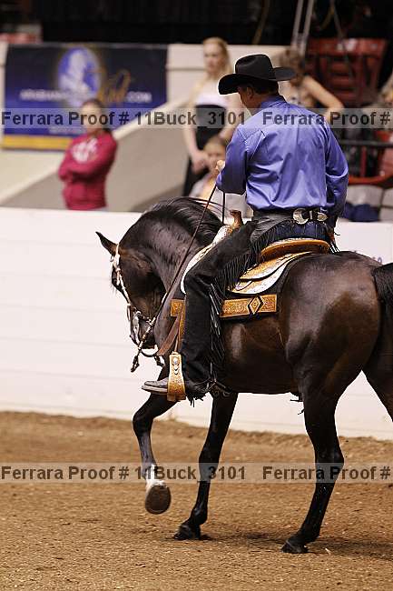 Proof 11buck_3101