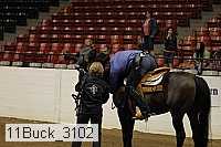 11buck_3102 proof