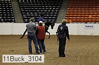 11buck_3104 proof