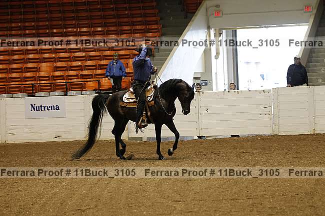 Proof 11buck_3105