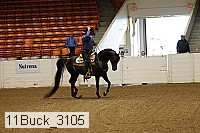 11buck_3105 proof