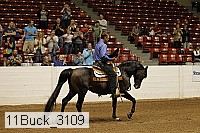 11buck_3109 proof