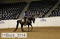 11buck_3114 proof