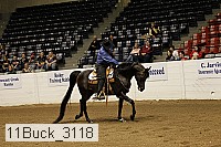 11buck_3118 proof